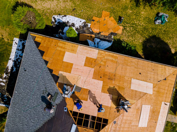 Best Metal Roofing Contractor  in Byrdstown, TN