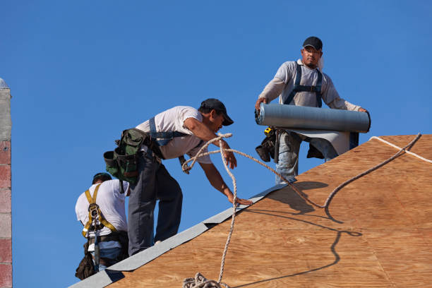 Best Roofing Contractor Near Me  in Byrdstown, TN