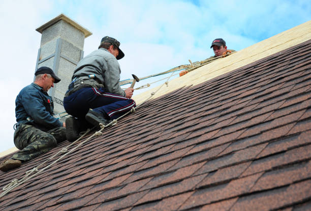 Best Gutter Installation and Roofing  in Byrdstown, TN